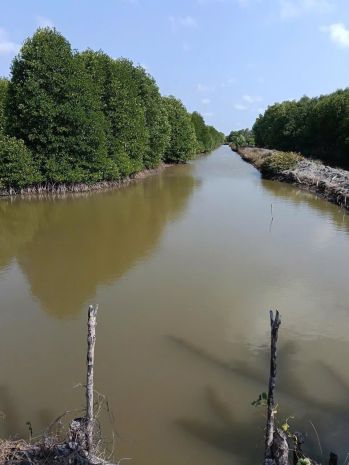 Chính chủ cần bán 2 mảnh đất có vị trí đẹp tại cà mau 7393619