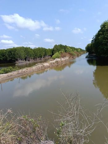 Chính chủ cần bán 2 mảnh đất có vị trí đẹp tại cà mau 7393620