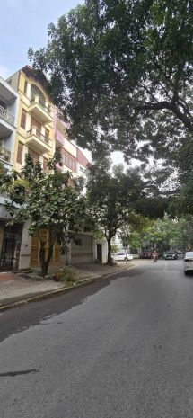 Liền kề vip kđt văn quán, bạch thái bưởi 80m2 5t mt 7393763