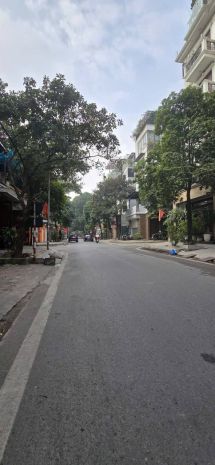 Liền kề vip kđt văn quán, bạch thái bưởi 80m2 5t mt 7393767