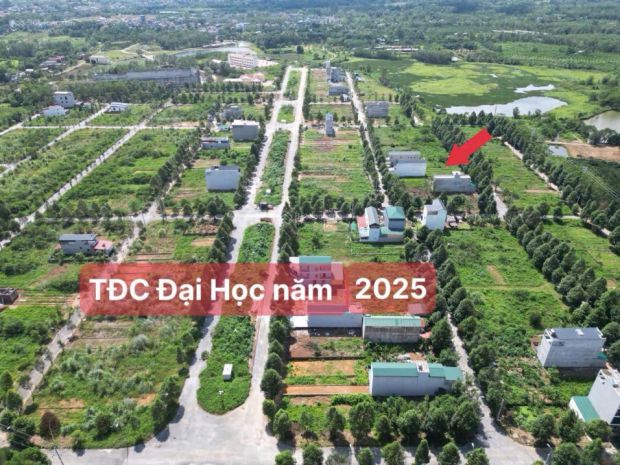 Cắt lỗ! 100m tái định cư đại học qg vị trí đẹp kinh doanh, 7393965