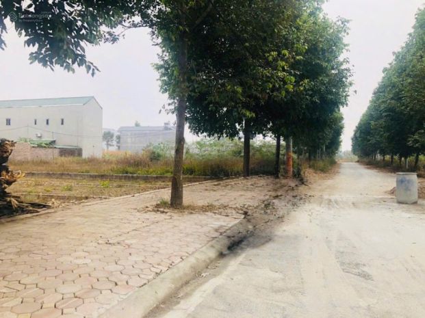 Cắt lỗ! 100m tái định cư đại học qg vị trí đẹp kinh doanh, 7393967