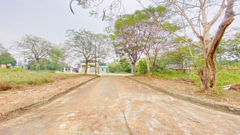 Cắt lỗ! 100m tái định cư đại học qg vị trí đẹp kinh doanh, 7393969