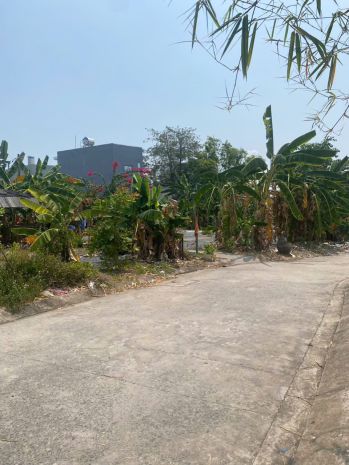 Bán gần 1900m2 đất  trung tâm đường đặng văn bi ,  p.bình 7397011