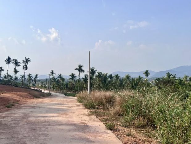 Đất 2 mặt tiền  thung lũng thông xanh, không gian sống chạm 7397056