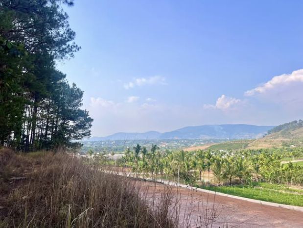 Đất 2 mặt tiền  thung lũng thông xanh, không gian sống chạm 7397057