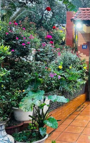 Bán nhà đồng cổ 84m 2 tầng tặng gpxd đầu tư đỉnh giá 37.5 7397086