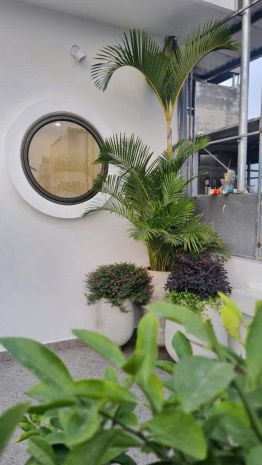 Bán nhà nguyễn văn cừ 75m 6 tầng thang máy ô tô qua hơn 15 7397815