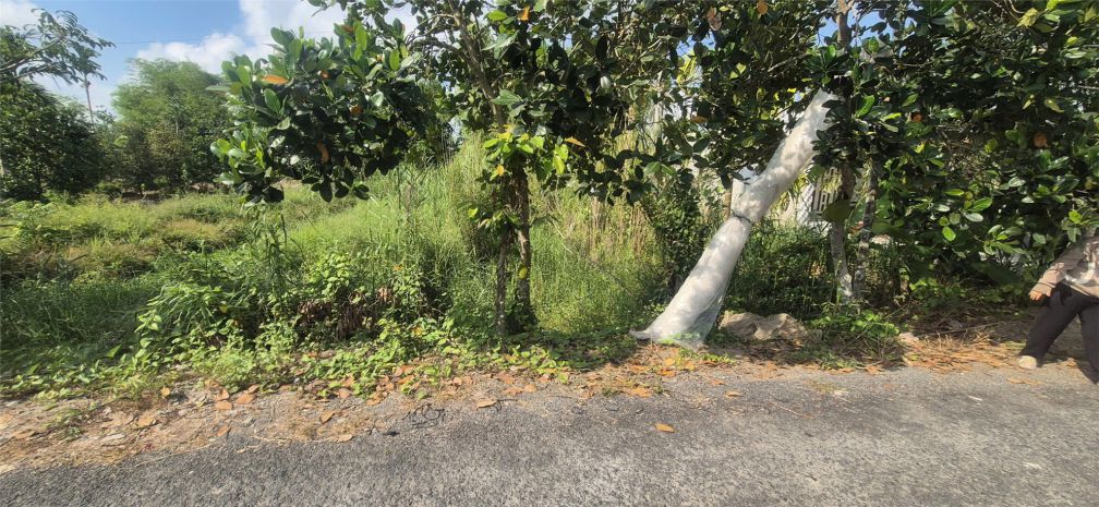 Đất chính chủ mặt tiền đường nhựa ấp phú trí b1, xã phú 7398105