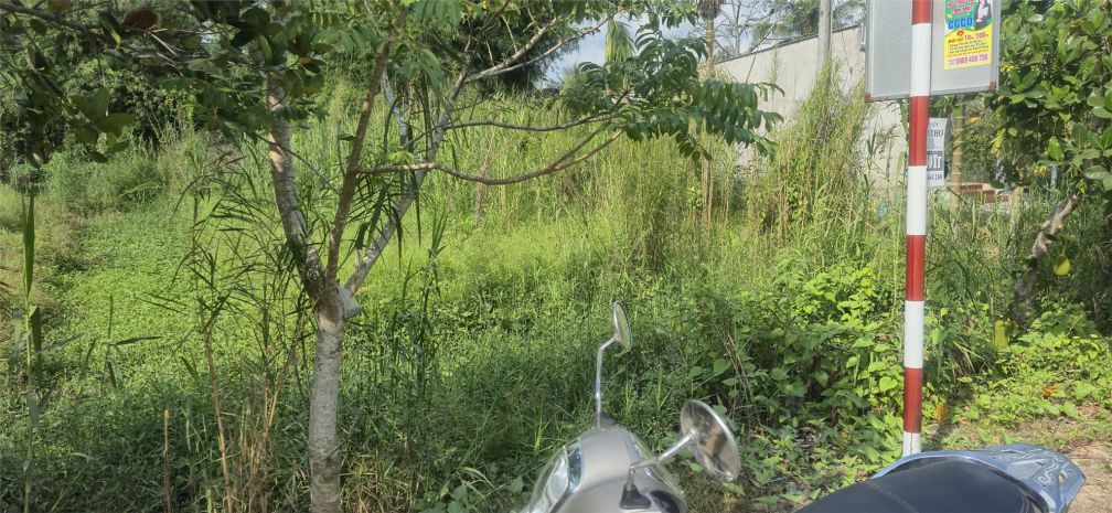 Đất chính chủ mặt tiền đường nhựa ấp phú trí b1, xã phú 7398106