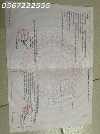 Đất nền hòa nhất, ngũ đoan, kiến thụy  chỉ 9xx triệu  cơ 7398685