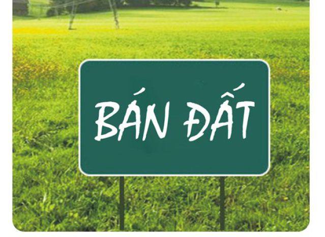 Bán lô đất 100m2 mặt tiền đường phù lưu - phường quảng 7398804