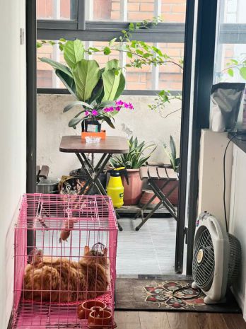 Cho thuê nhà ngõ 200 tây sơn 30m2 x 4 tầng, 4 ngủ, 13 triệu 7399160