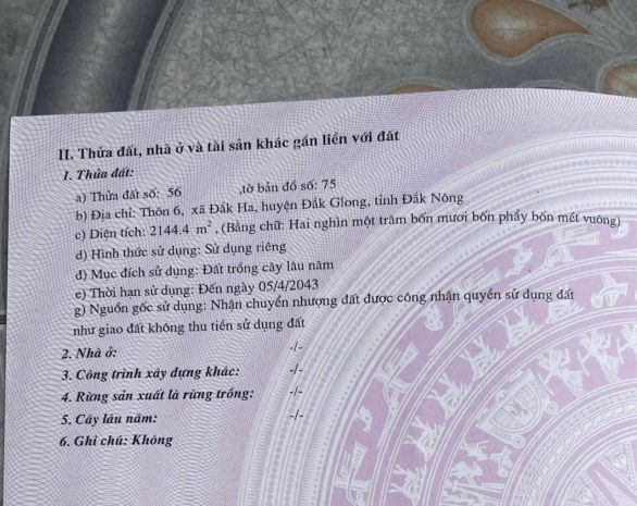 Chính chủ cần bán lô đất đẹp  thôn 6, đắk ha   - đăk nông 7400288