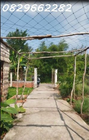 Bán đất thổ cư 864m2 sổ hồng đường nguyễn an ninh tân quy 7400391