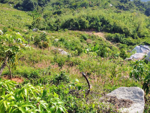 Đất đẹp  giá tốt  cần bán gấp lô đất  thôn quãng phú 7402932