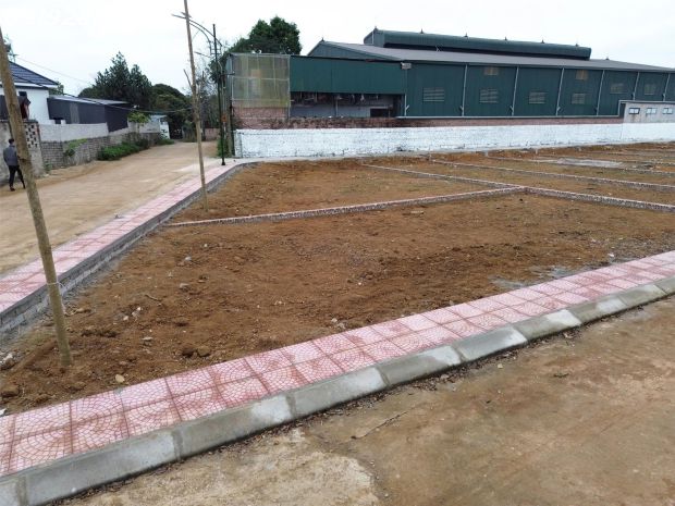 Cần bán gấp  lô đất vàng trục chính trại láng  gần 7404135