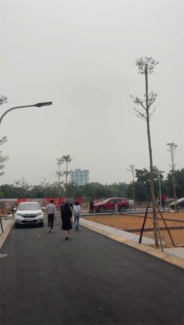 Cần bán gấp  lô đất vàng trục chính trại láng  gần 7404137