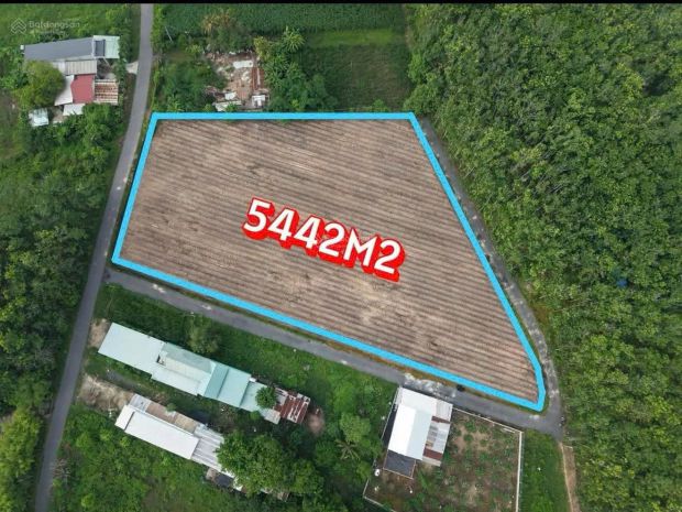 Đất đẹp  giá tốtcần bán đất 3 mặt tiền tại  đường đào thị 7404404