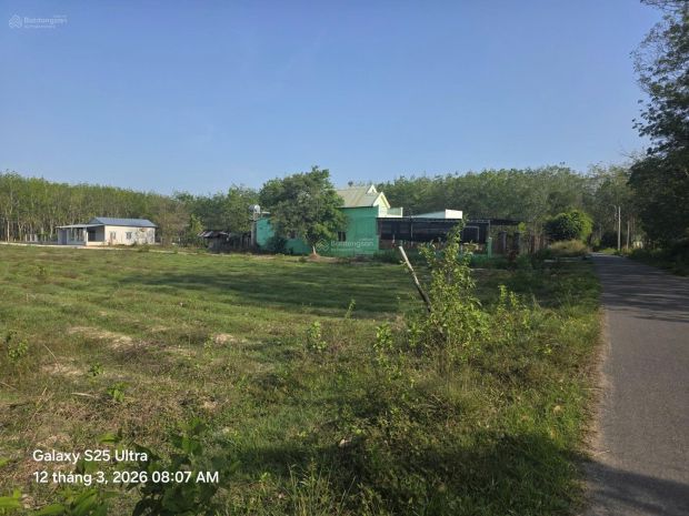 Đất đẹp  giá tốtcần bán đất 3 mặt tiền tại  đường đào thị 7404405