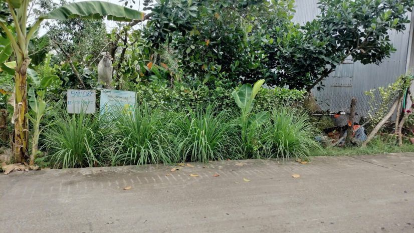 Đất đẹp - đầu tư sinh lời - chính chủ bán 2 lô đất tại xã 7404408