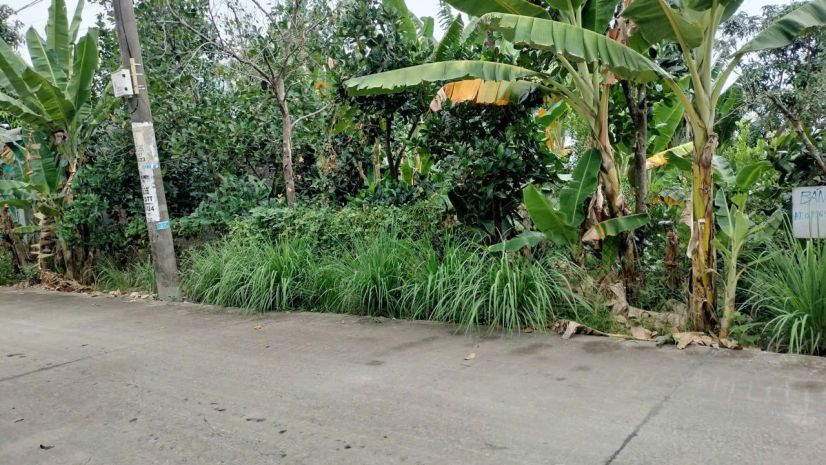 Đất đẹp - đầu tư sinh lời - chính chủ bán 2 lô đất tại xã 7404409