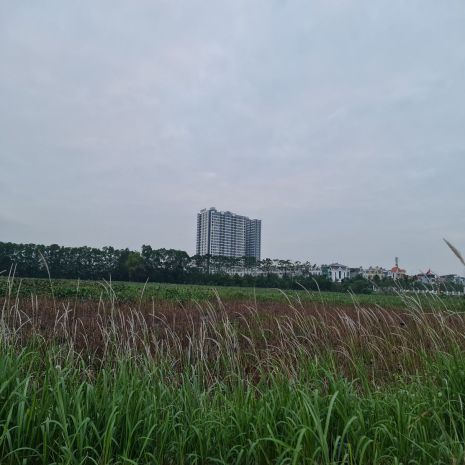 Bán shophouse 78m2 5 tầng mặt đường 25m tại trâu quỳ giá 20 7405223