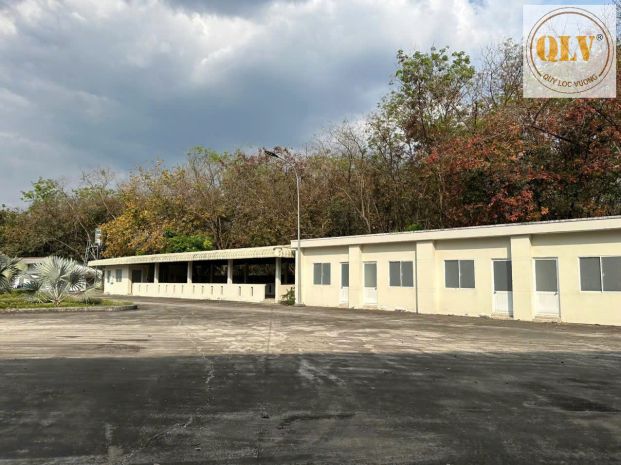 Cho thuê nhà xưởng hội nghĩa, tân uyên, bình dương 17.301m² 7406274