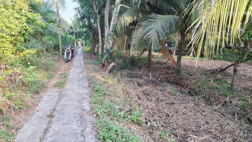 Chính chủ cần bán lô đất có vị trí đẹp tại phường phước hậu 7406780