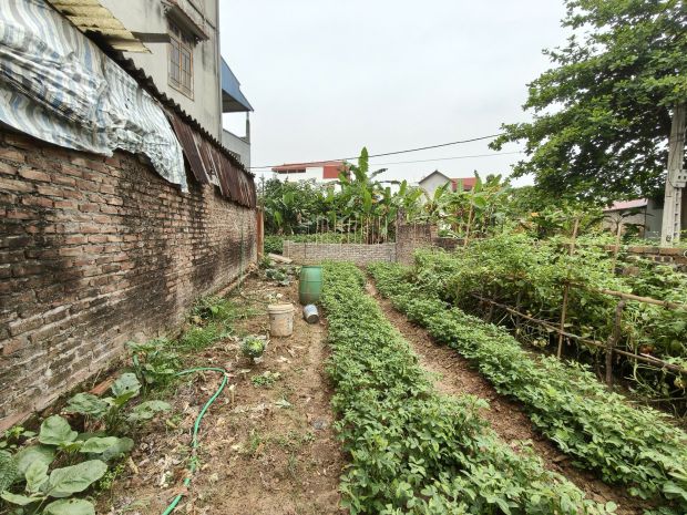 Đất thụy lâm 90m2, mt5m, 6.5 tỷ, ô tô, đông anh 7410660