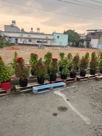 Hàng fo mới ra lò đất 125m mt giá chỉ 3.75 tỷ  quá hiếm 7413413