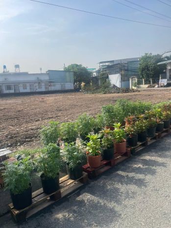 Hàng fo mới ra lò đất 125m mt giá chỉ 3.75 tỷ  quá hiếm 7413415