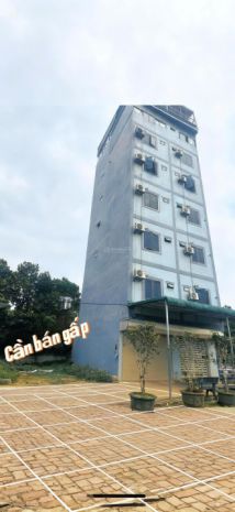 Bán đất chính chủ tại xã cổ đông, sơn tây, hà nội, 30 7413516