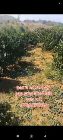 Đất đẹp  giá tốt  cần bán gấp lô đất vị trí đẹptại  ia 7415096