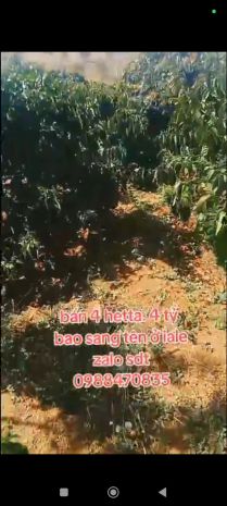 Đất đẹp  giá tốt  cần bán gấp lô đất vị trí đẹptại  ia 7415097