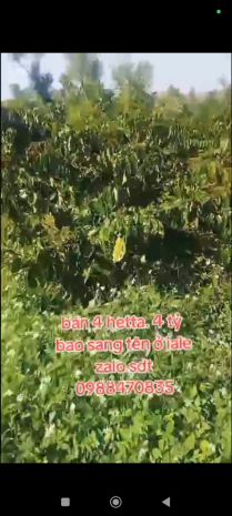 Đất đẹp  giá tốt  cần bán gấp lô đất vị trí đẹptại  ia 7415098