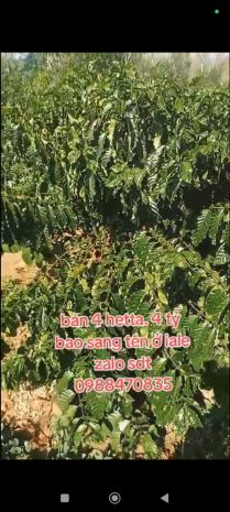 Đất đẹp  giá tốt  cần bán gấp lô đất vị trí đẹptại  ia 7415099