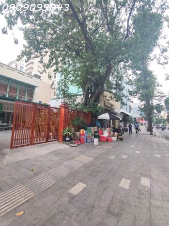 Siêu phẩm mt mạc đĩnh chi  q1, khu lõi trung tâm 7415478