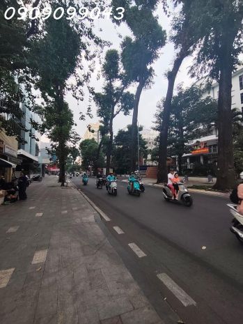 Siêu phẩm mt mạc đĩnh chi  q1, khu lõi trung tâm 7415480