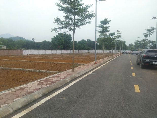 Cơ hội tốt không đến với người chậm chân. 7416270