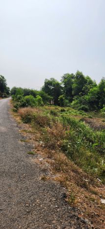 Cơ hội đầu tư sinh lời - lô đất vị trí đẹp tiềm năng - gần 7416381