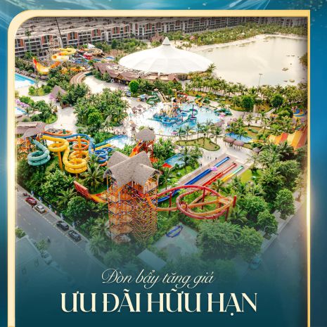 Siêu phẩm gom lô 3 căn liền kề kđ8  đỉnh cao kinh doan 7416558