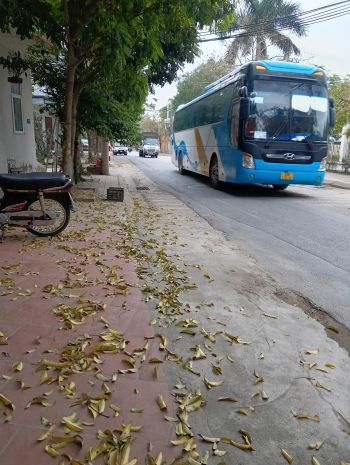 Bán nhà đường hoàng hoa thám - thụy khuê - tây hồ. diện 7417028