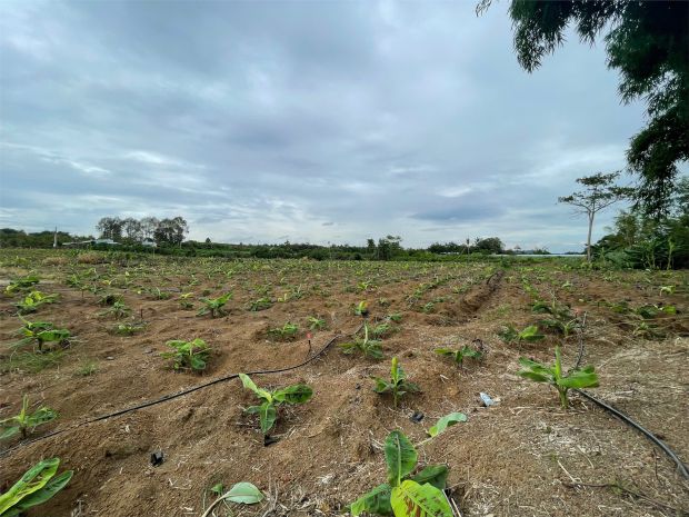 Cơ hội đầu tư siêu hấp dẫn - cần bán gấp đất  giá ngộp 7418536