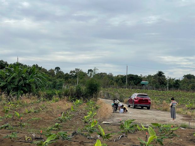 Cơ hội đầu tư siêu hấp dẫn - cần bán gấp đất  giá ngộp 7418537