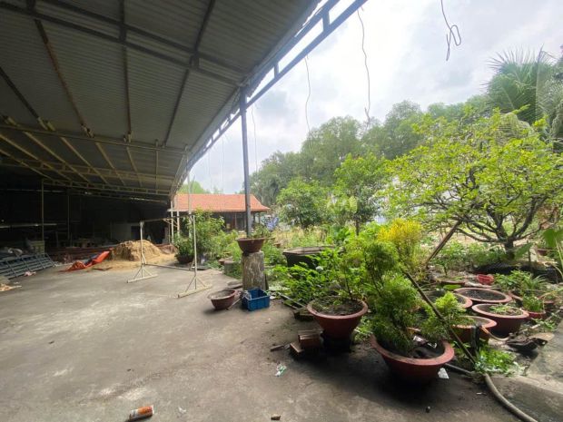 Bán gấp 2500m2  đất lô góc- mt - tỉnh lộ 15, phú hòa đông, 7418676