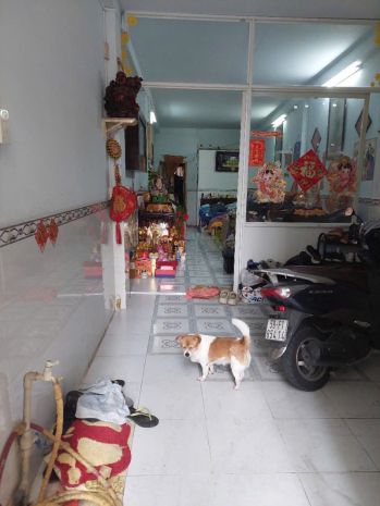 Bán nhà quận 3 hẻm nhựa 7m 110m2 nở hậu 4.2m kd đỉnh chính 7419414