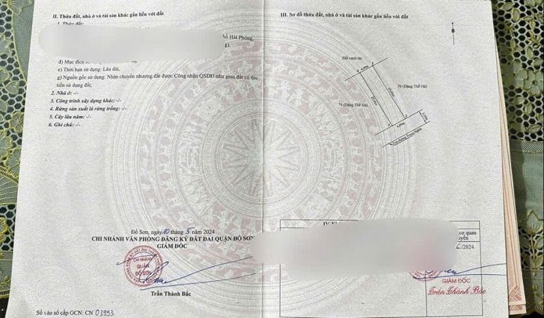 Bán đất mặt đường trung nghĩa  đồ sơn  mặt tiền rộng 7419719