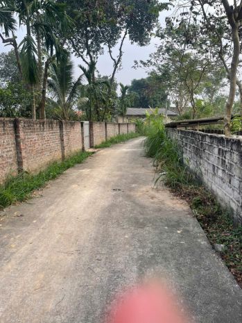 Bán đất vườn giá rẻ  tiềm năng đầu tư cao tại tam dương 7419767