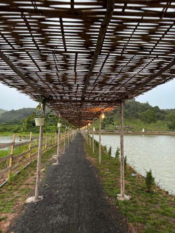 Bán đất khu câu cá chân đồi, ấp bàu chim, xã phú xuân, đn 7420973